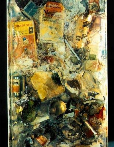 Arman — Poubelle Organique